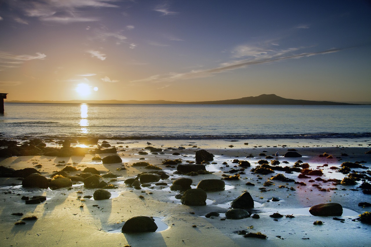 Auckland 3